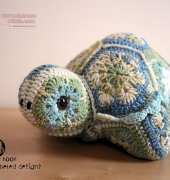 Cute As Hook -  Darwin The Tortoise