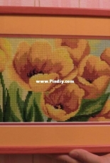 Yellow tulips