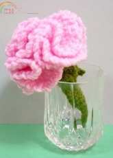 Melbangel - Amy Lim - Carnations