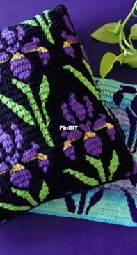 Sixel Design - Alexis Sixel - Irises
