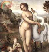 Golden Kite 1325 Leda