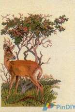 Eva Rosenstand 12-561 Deer