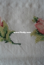 Roses in rose