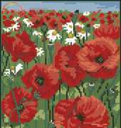 OOE 57100 Poppy Field