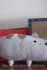 Pusheen