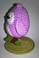 Little owl