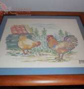 Chickens