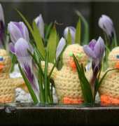 Rainbow Valley - Helen Free -  Easter Chick
