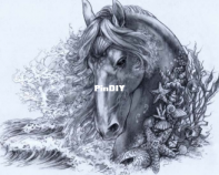 HAED - HAEAS1234 - Seahorse by Adele Sessler