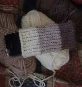Cover phone