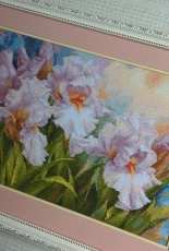 Alisa. White Irises