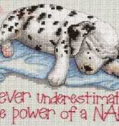 Dimensions 16750 - Power Nap