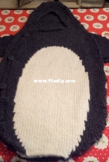 Penguin baby nest