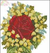 Rose with mimosa