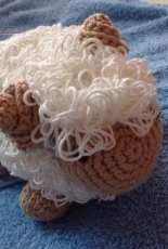 my cutie sheep...