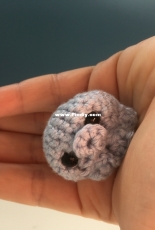 Tiny octopus