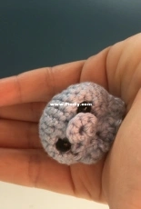 Tiny octopus