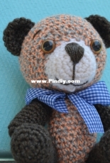 the bear