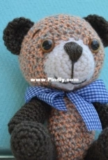the bear