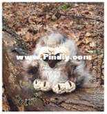 Fiber Doodles - K4TT - Weenie Owl - Free