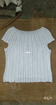 A Dress in Progress - Just a top for now!