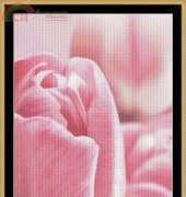 Mystic Stitch FLO-23 - Pink Tulips
