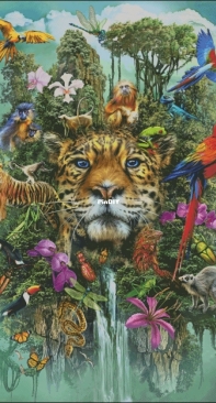 HAED HAECRMR 20190800 Jungle Montage by Ciro Marchetti