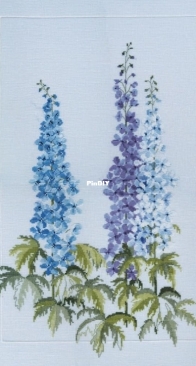 Derwentwater FP-01 Delphiniums