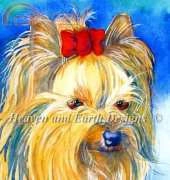 HAED - HAEJOL 191 Yorkie by Jo Lynch