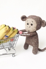 Deliami - Deli T. - Sunshine The Monkey