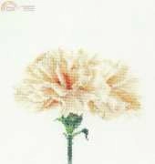 Thea Gouverneur - 468 - Carnation peach