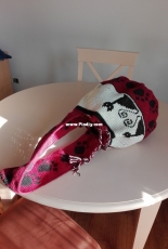cat wayuu bags
