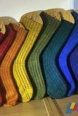 RiotousAssembly-Decathlon Socks by Sue Grandfield-Free