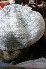 Caschic Hat by Amber Daniels-Cook-Free