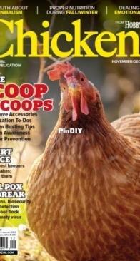 Chickens - November/December 2025