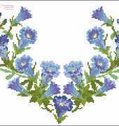 SFV Agnes Granouillac- Coeurs Botaniques Gentianes