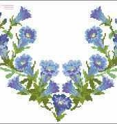 SFV Agnes Granouillac- Coeurs Botaniques Gentianes