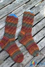 Knit-From-Stash 2016-Darlingtonia Socks by Heatherly Walker