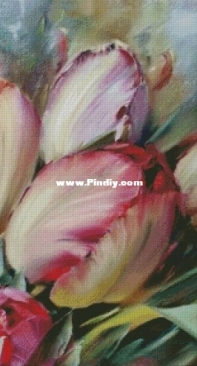 Chimera  - Watercolor Tulips XSD