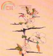 Charlottes Web Needlework Blackthorn