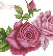 Double rose
