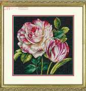 Dimensions 35314 Tulip Drama XSD
