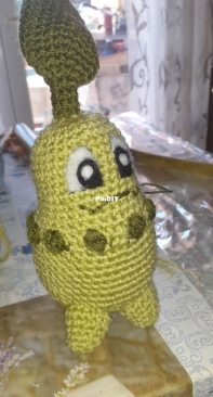 cikorita