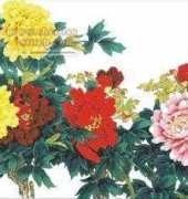 Peonies PCS