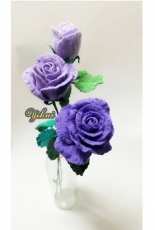 Blue Moon Rose