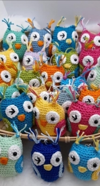 Owls