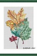 Maple Leaves by Elena Lee / Li (Елена Ли)