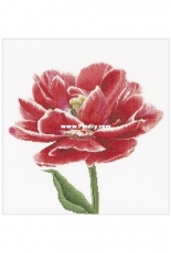 Thea Gouverneur TG 520 Tulip XSD