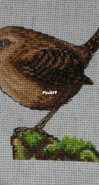 Wren