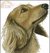 Heritage Stitchcraft APJP781 Animal Portraits - Jasper by John Stubbs
